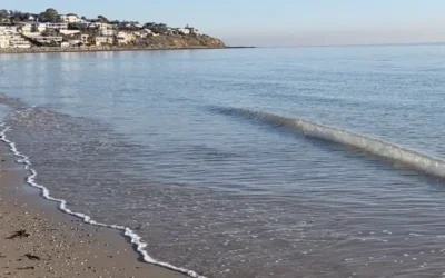 Kingston Park beach