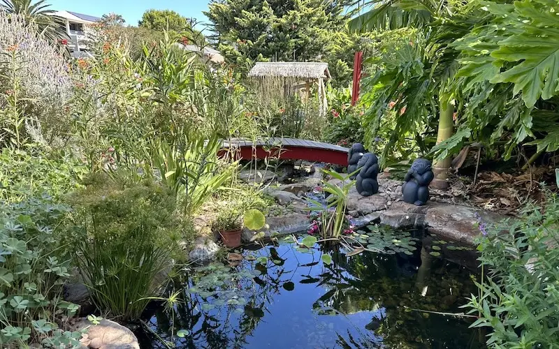 Turlatina Wirra Open Garden – Seacliff